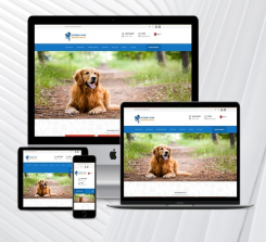 Veteriner / Klinik Web Paketi Nou v3.5